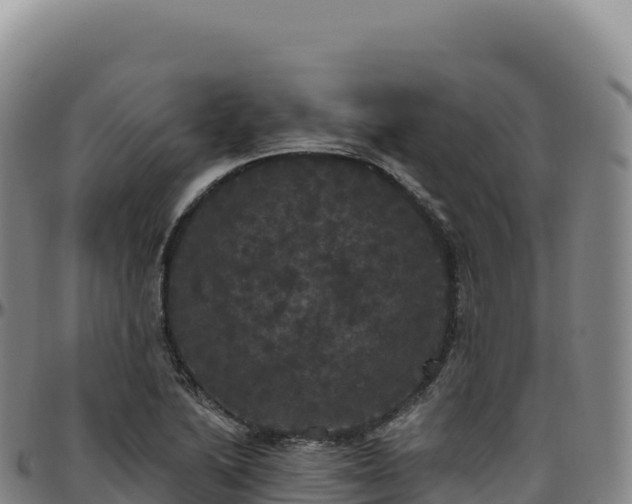 X0000096491222200801311611