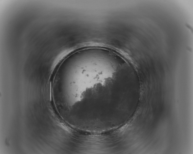 X0000096491223200801311611