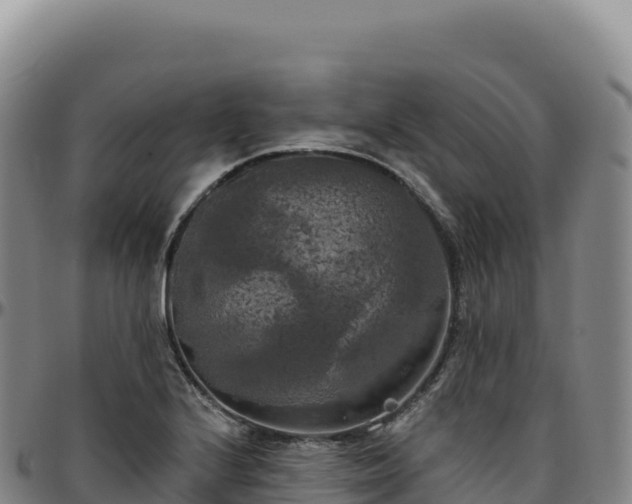 X0000096491224200801311611