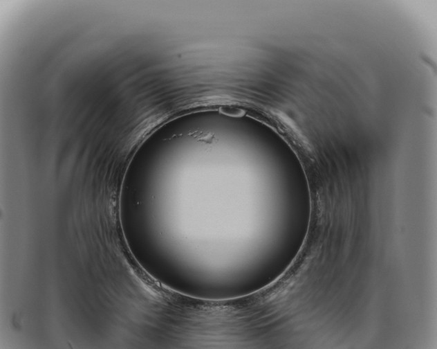 X0000096491225200801311611