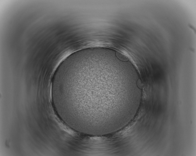 X0000096491227200801311611