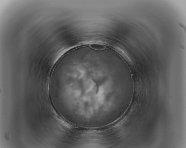 X0000096491228200801311611