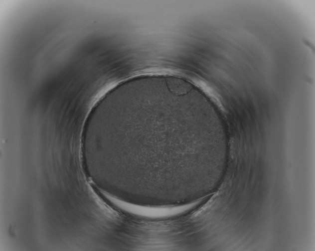 X0000096491229200801311611