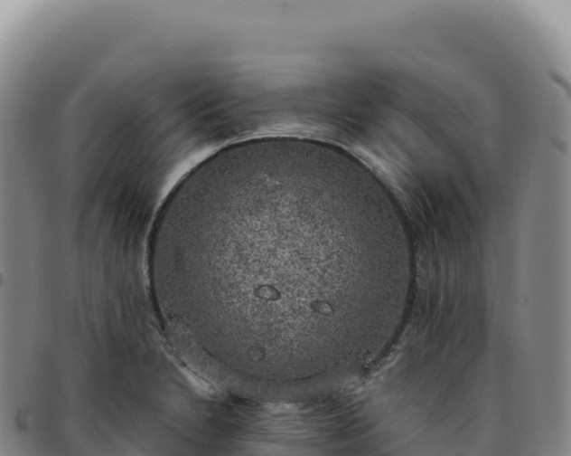 X0000096491230200801311611