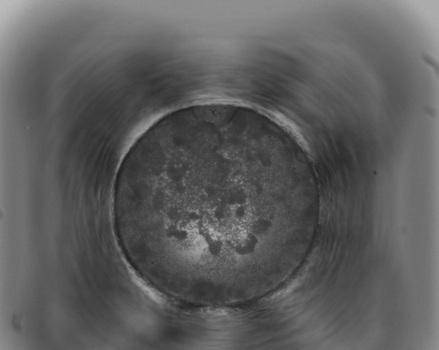 X0000096491231200801311611