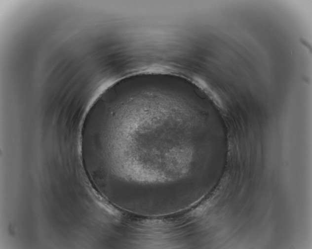 X0000096491232200801311611