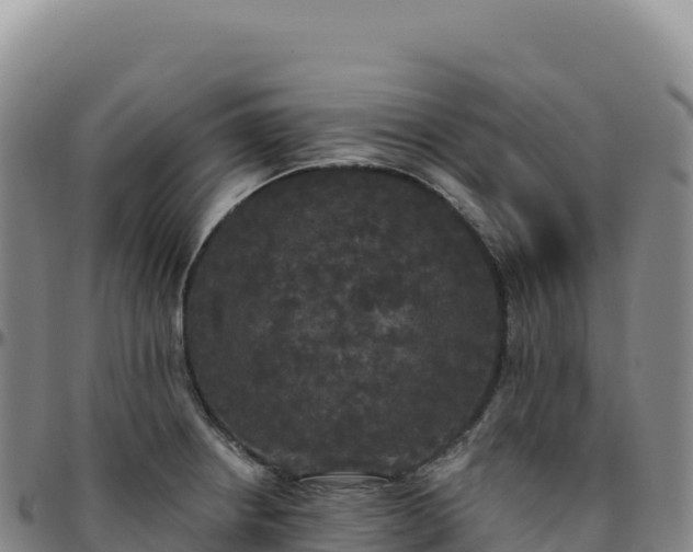 X0000096491234200801311611