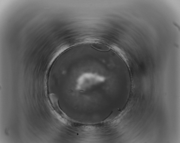 X0000096491235200801311611