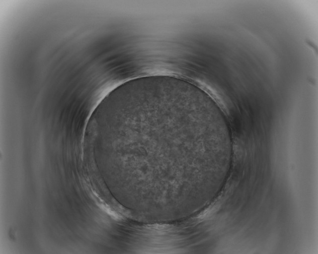 X0000096491236200801311611