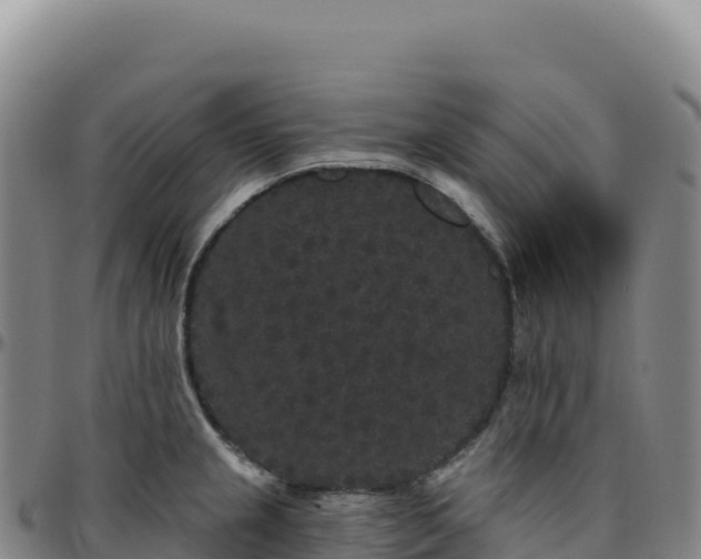 X0000096491237200801311611