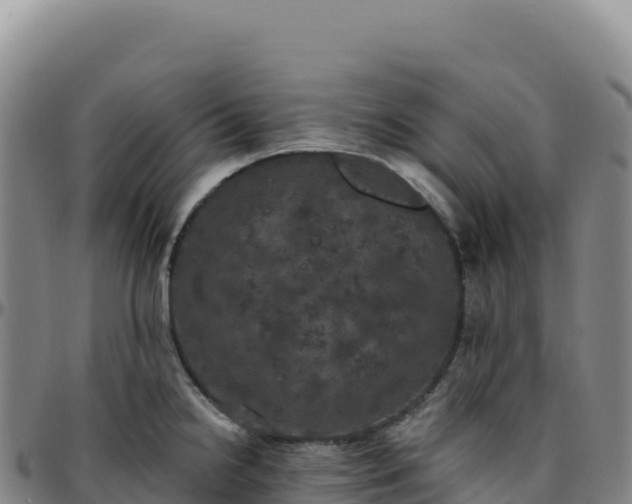 X0000096491238200801311611