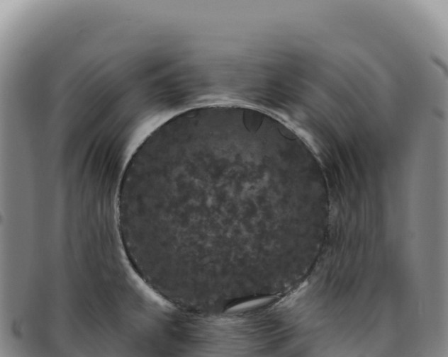 X0000096491239200801311611