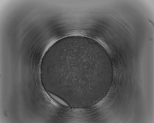 X0000096491240200801311611