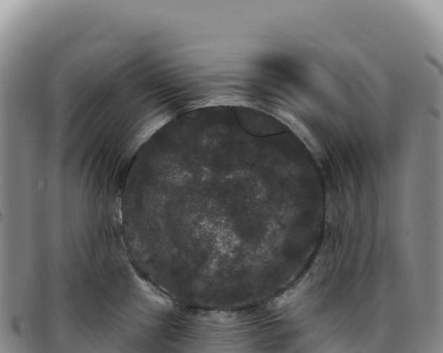 X0000096491241200801311611