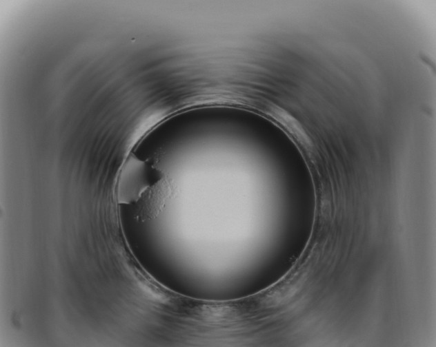 X0000096491242200801311611