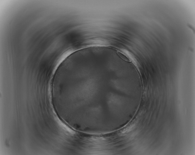 X0000096491243200801311611