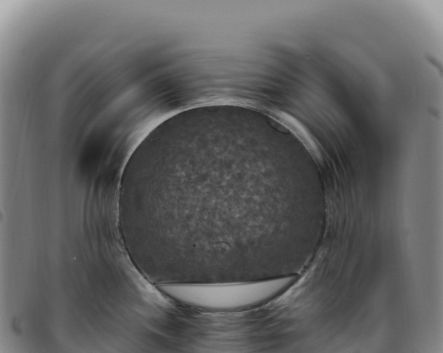 X0000096491244200801311611