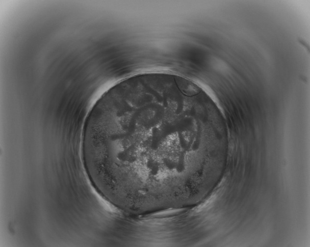 X0000096491245200801311611