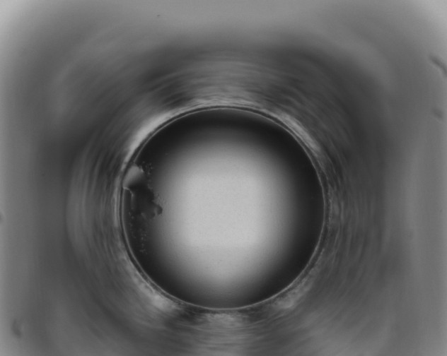 X0000096491246200801311611