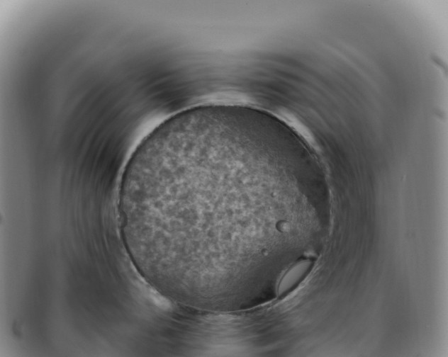 X0000096491248200801311611