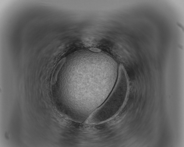 X0000096491249200801311611