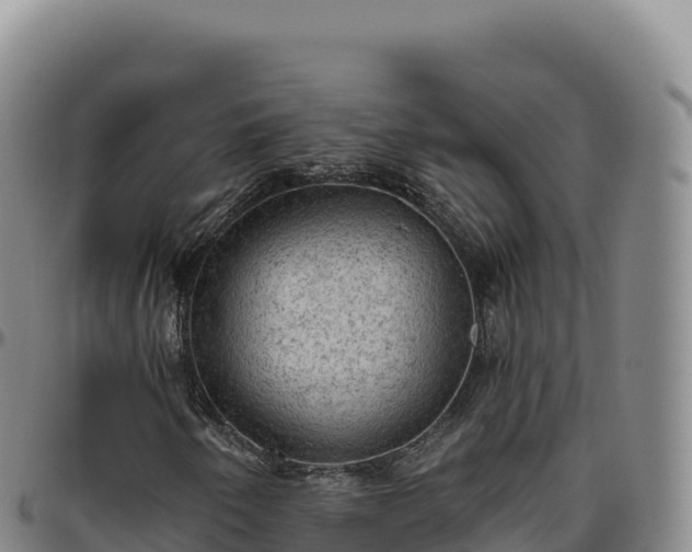 X0000096491250200801311611