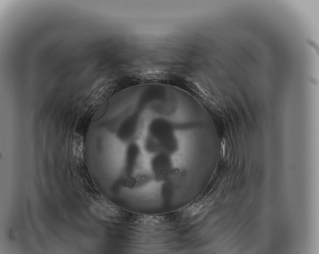 X0000096491251200801311611