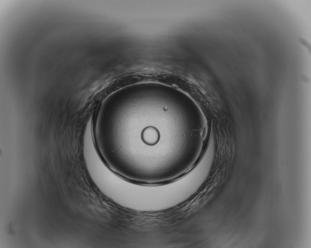 X0000096491253200801311610