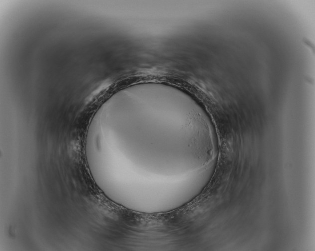 X0000096491254200801311610