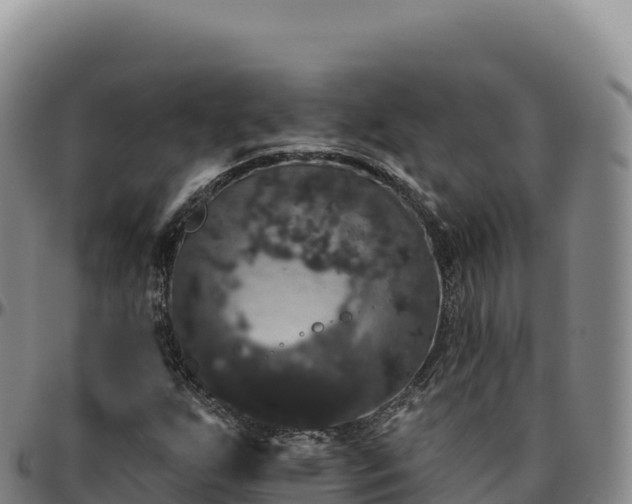 X0000096491255200801311610