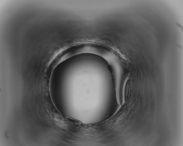 X0000096491256200801311610