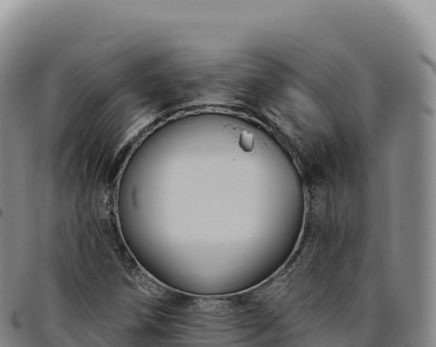 X0000096491258200801311610