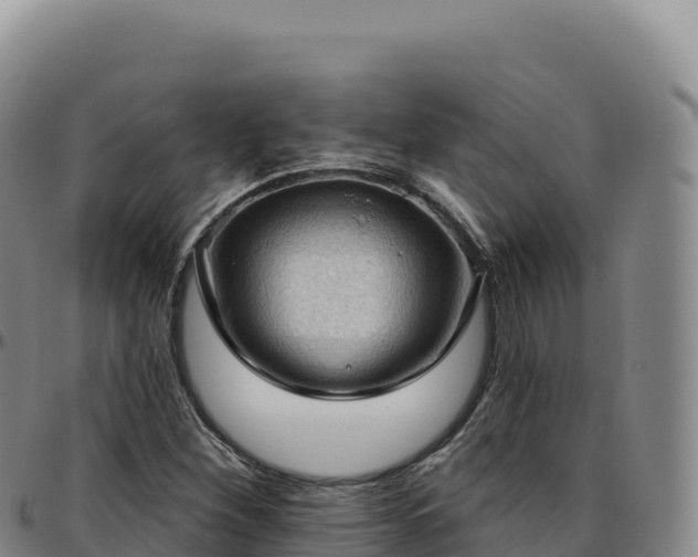 X0000096491260200801311610