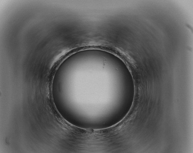 X0000096491262200801311610