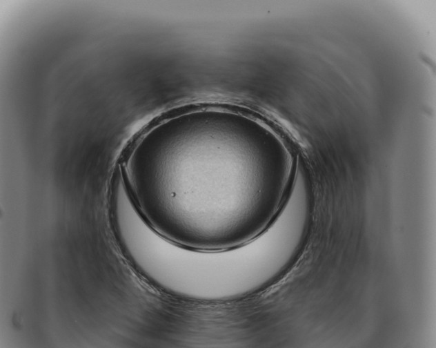 X0000096491264200801311610