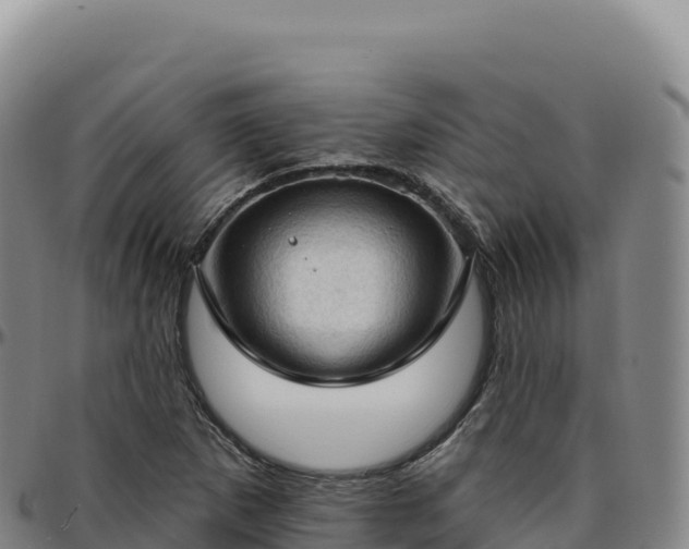 X0000096491265200801311610