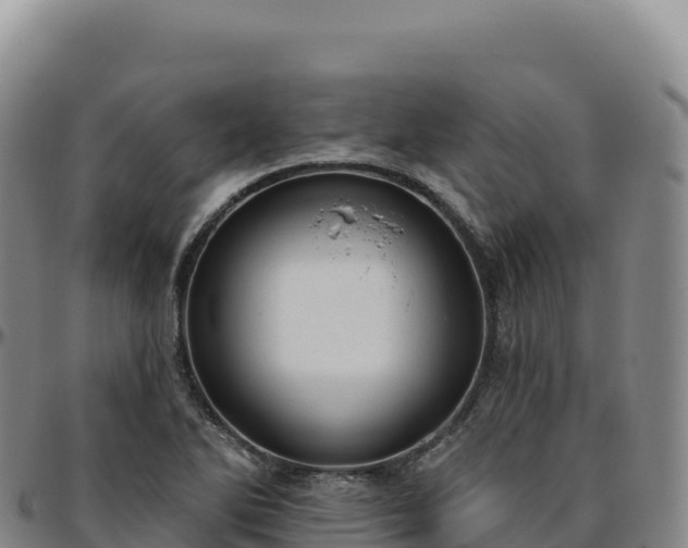 X0000096491270200801311610