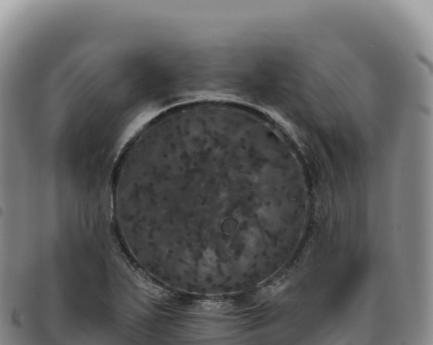 X0000096491271200801311610