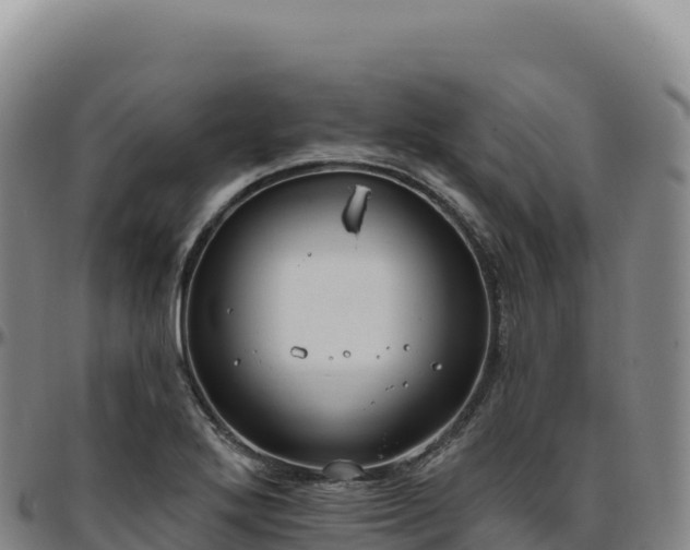 X0000096491272200801311610