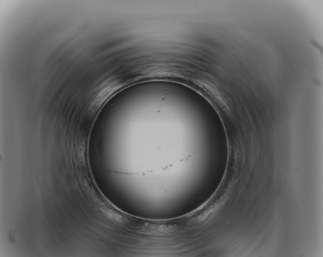 X0000096491273200801311610