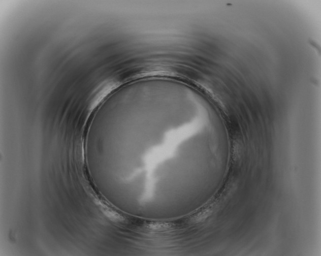 X0000096491274200801311610