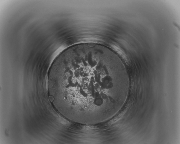 X0000096491275200801311610