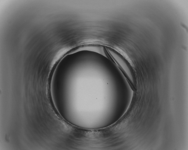 X0000096491277200801311610