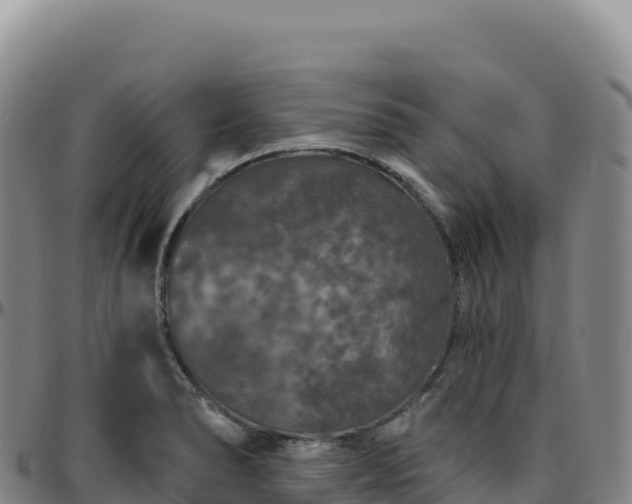 X0000096491278200801311610