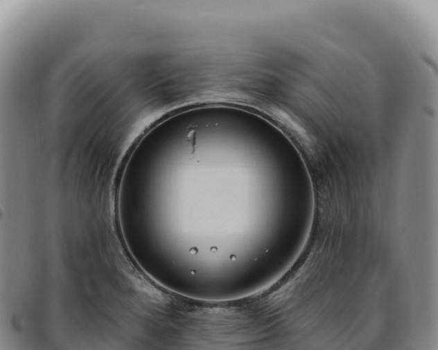 X0000096491280200801311610