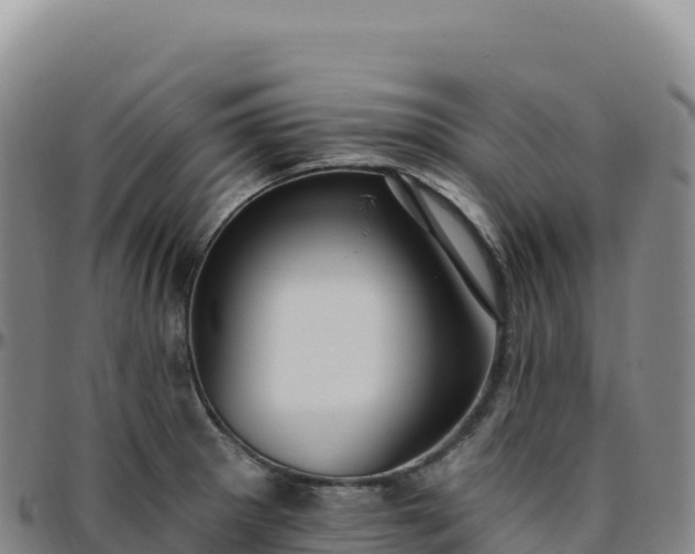 X0000096491281200801311610