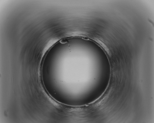 X0000096491285200801311610