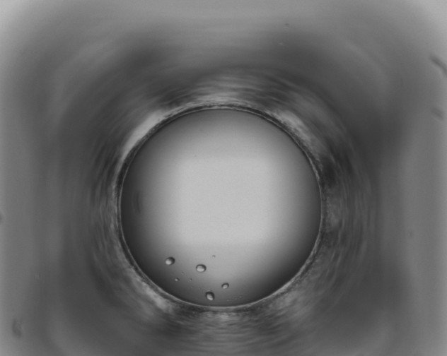 X0000096491286200801311610