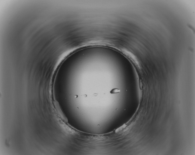 X0000096491288200801311610