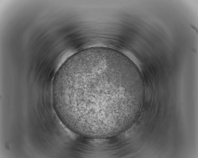 X0000096491290200801311610
